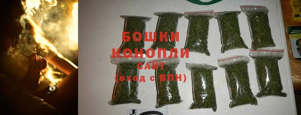 спайс Нягань