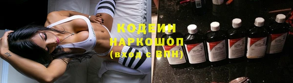прущие грибы Осинники