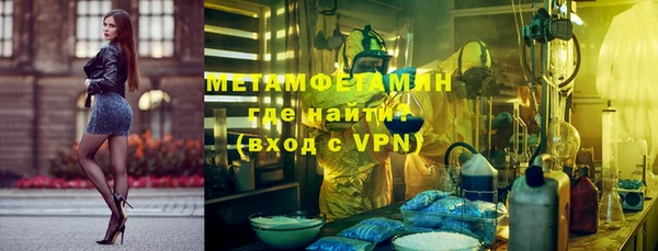 прущие грибы Осинники