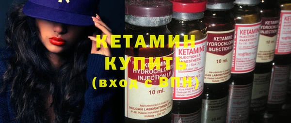 прущие грибы Осинники