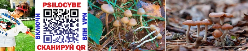 Галлюциногенные грибы MAGIC MUSHROOMS  Истра 
