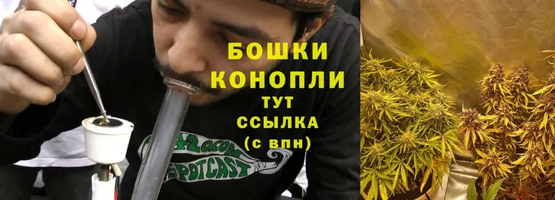 мега ссылка  Истра  Шишки марихуана Ganja 